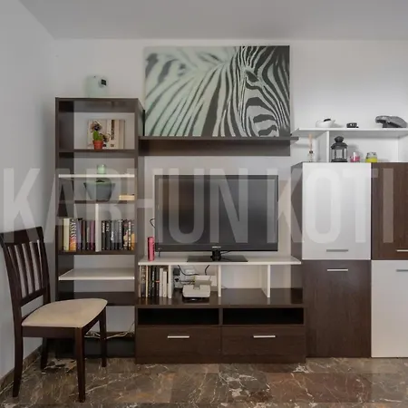 Carvajal Apartment *